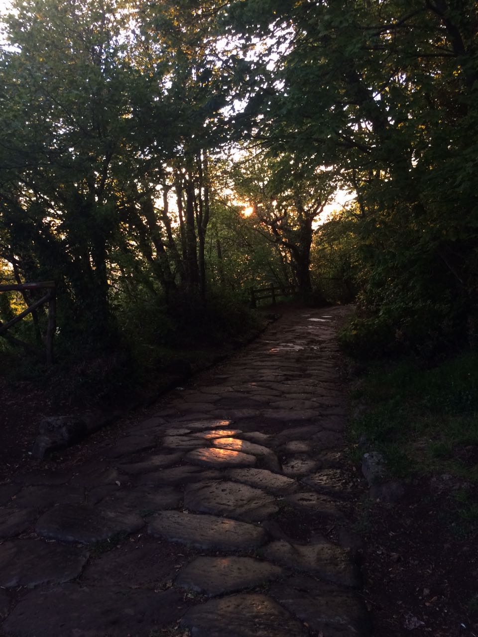La Via Sacra verso Monte Cavo