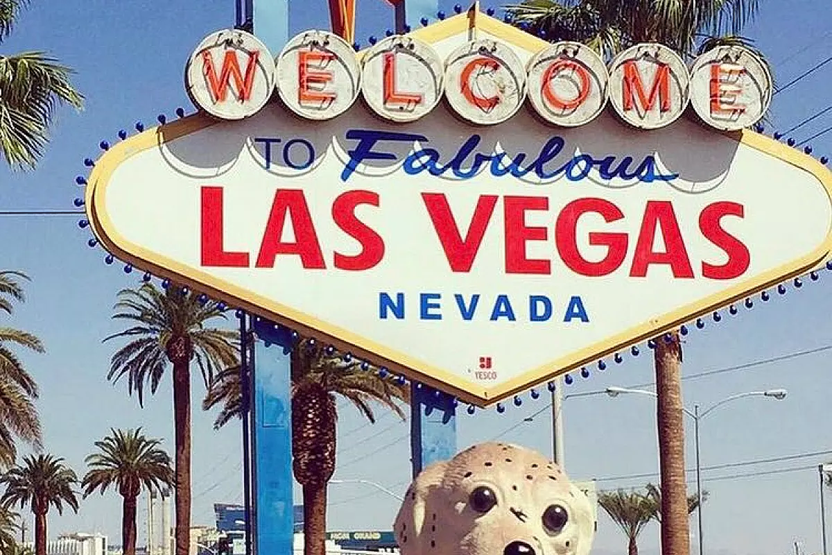 Modu si diverte a Las Vegas, la città che non dorme mai!