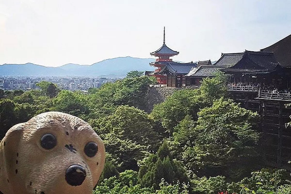 Modu davanti allo splendido Kiyomizu Temple a Kyoto, in Giappone