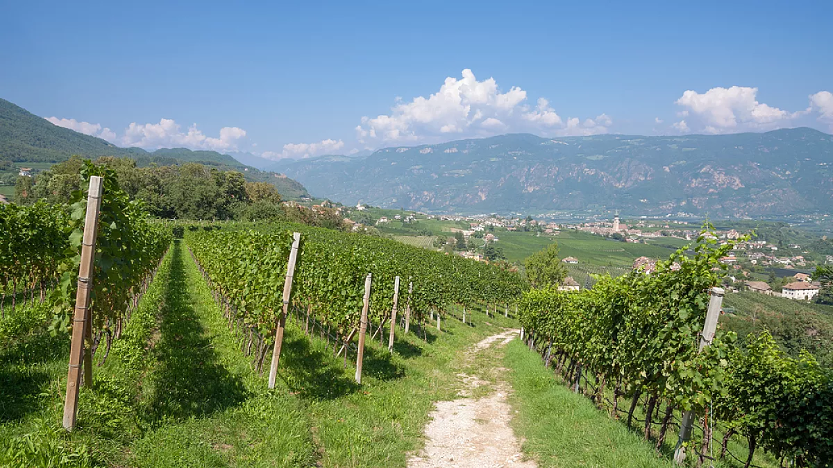Wienstrasse in Alto Adige