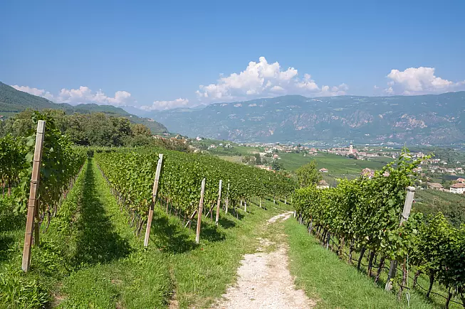 Wienstrasse in Alto Adige