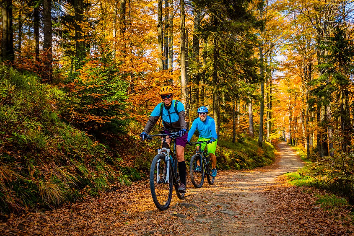 Tutti gli accessori Mountain Bike per pedalate autunnali