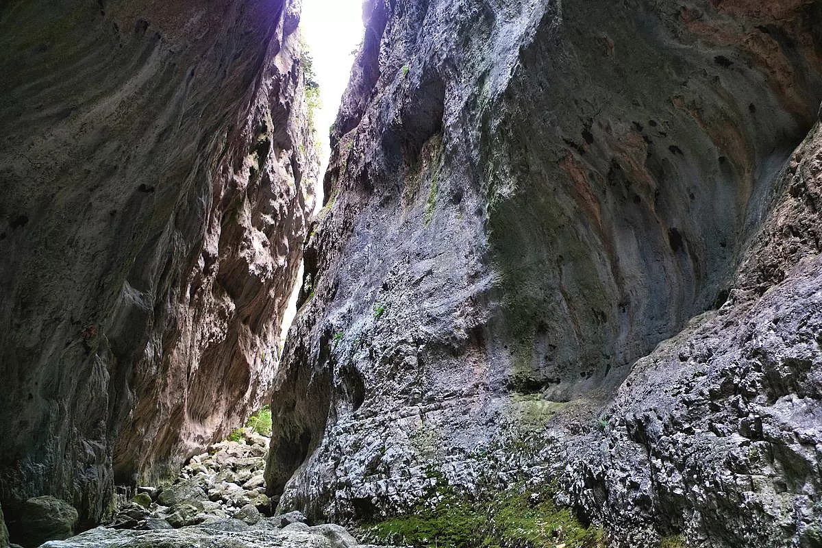 SH_1452331811