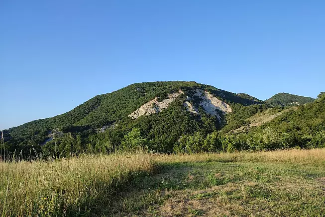 SH__2333831463