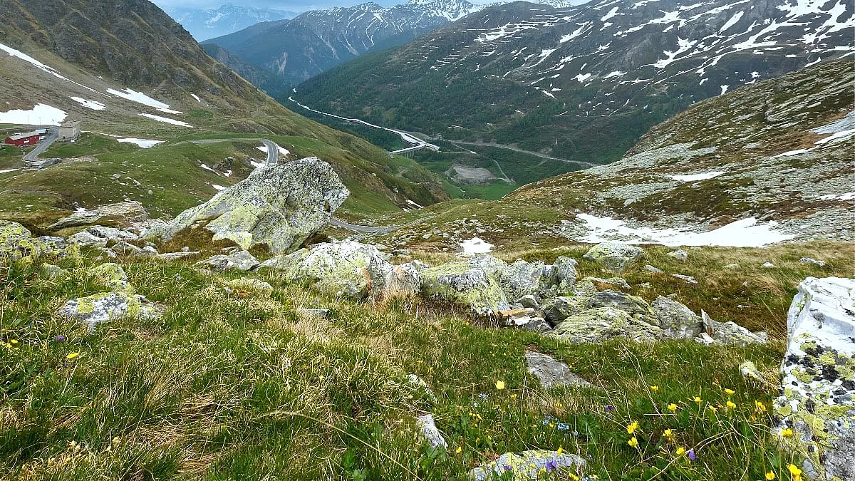 IS: 471271412