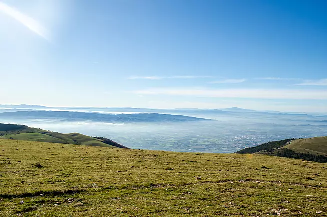 SH: 1634169664