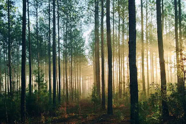 UN_steven-kamenar-MMJx78V7xS8