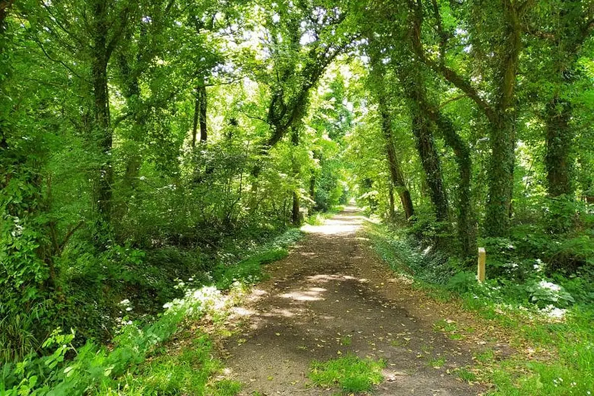 bosco della fontana