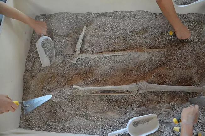 Parco archeologico-didattico Livelet - Villaggio palafitticolo