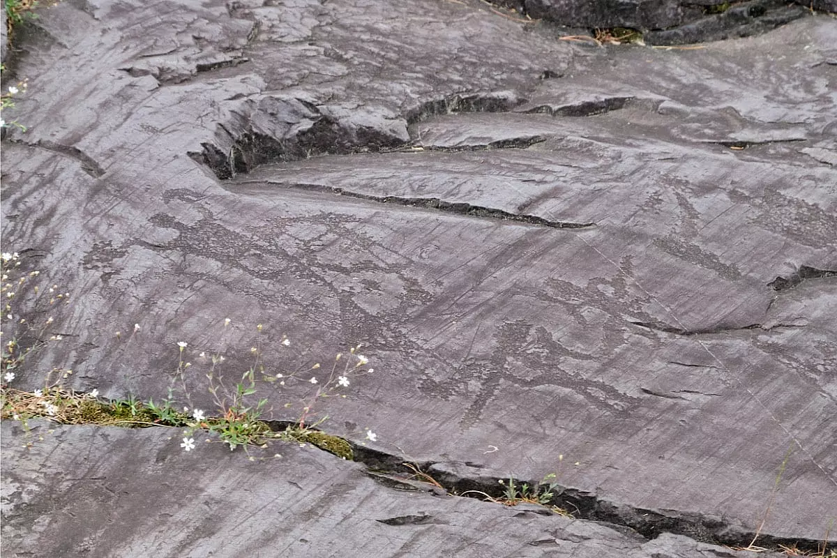 opere d'arte in Val Camonica