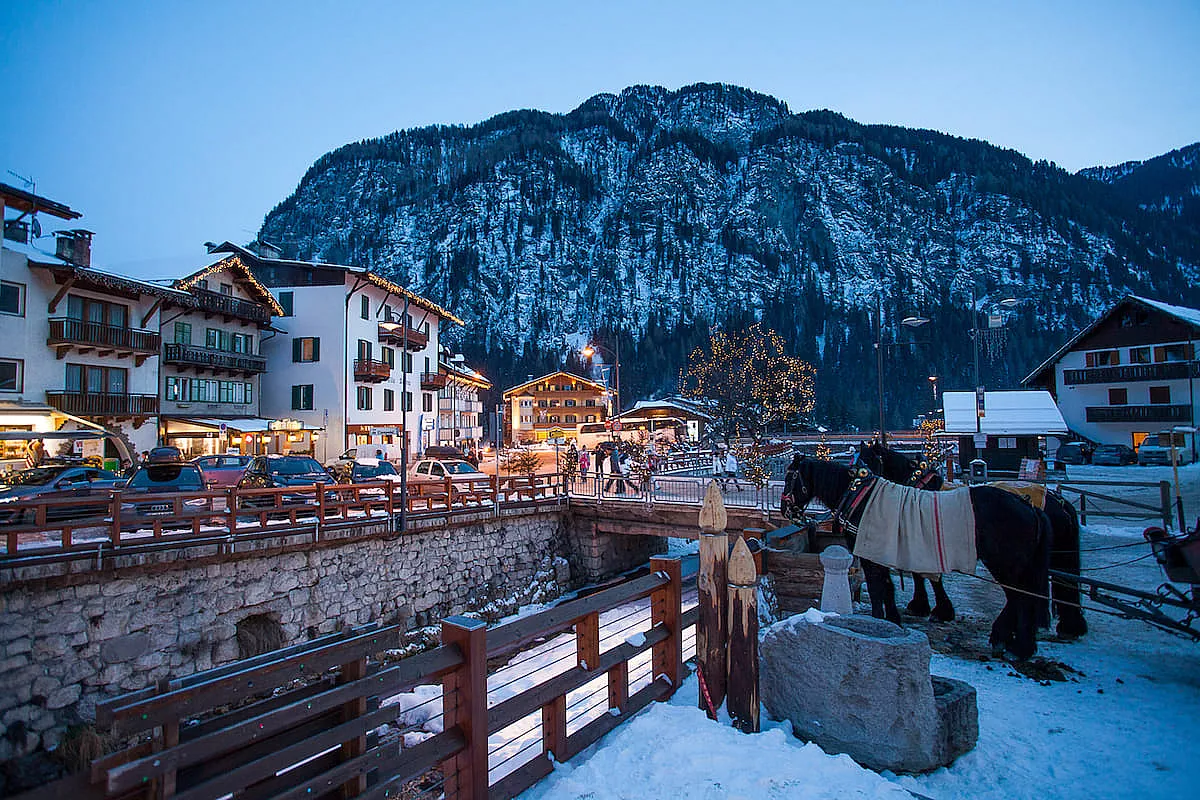 332250926