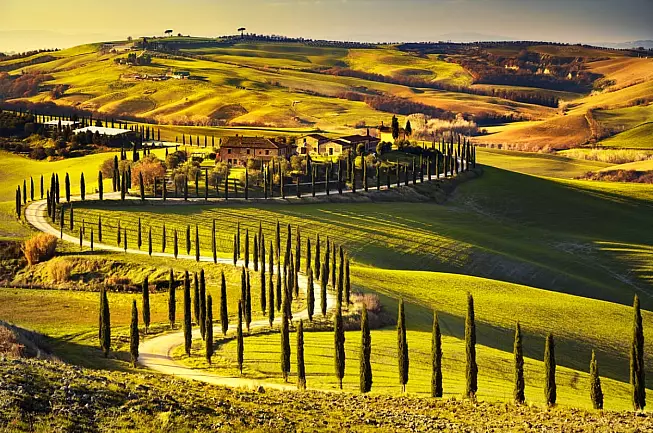 IS: 503892838