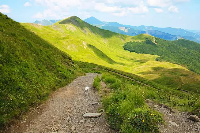  Parco Regionale del Corno alle Scale. IS: 1337699919