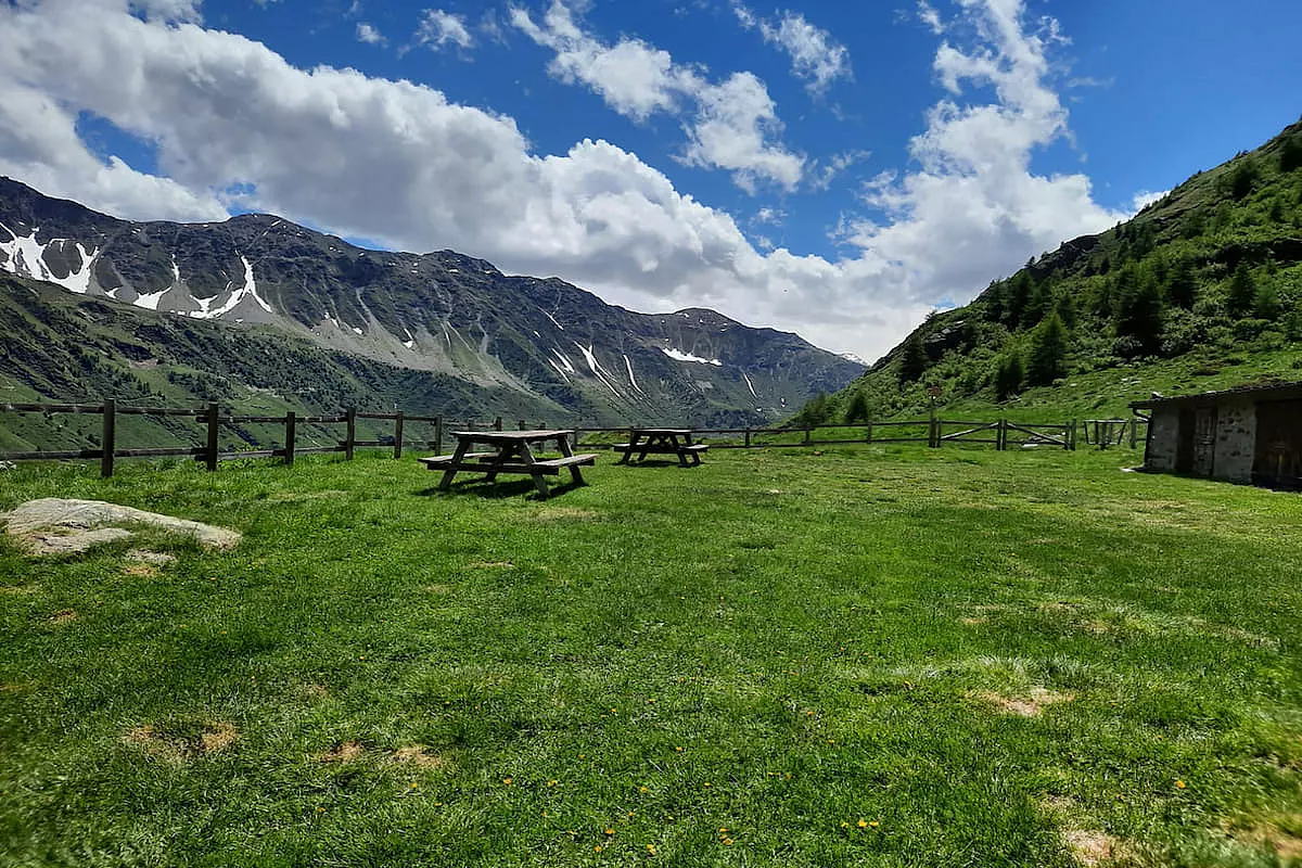 foreste del Trentino
