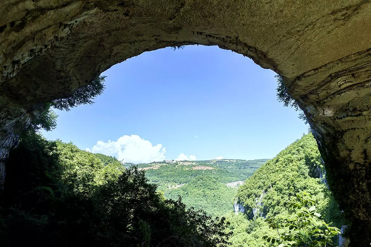 SH_1434909749