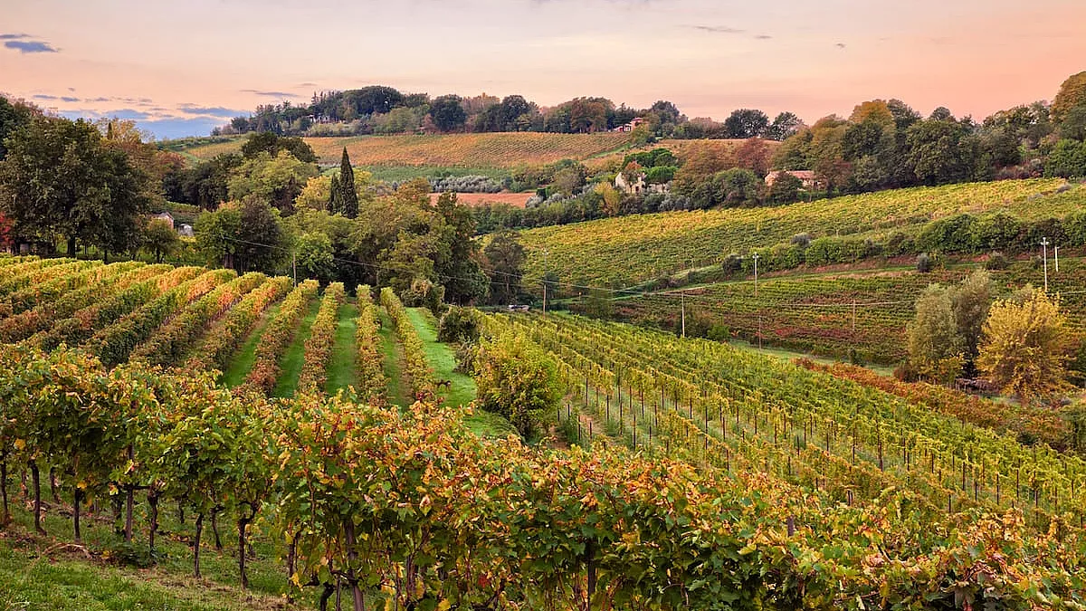 Bellissimo paesaggio dell'Emilia Romagna - IS: 1089785158