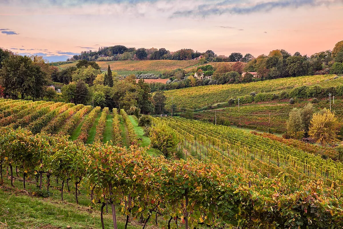 Bellissimo paesaggio dell'Emilia Romagna - IS: 1089785158