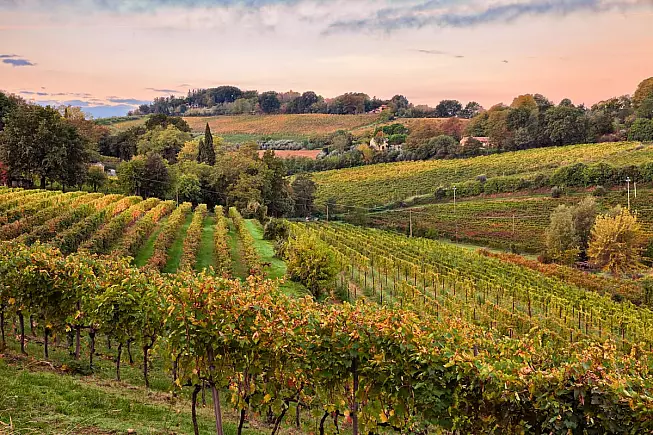 Bellissimo paesaggio dell'Emilia Romagna - IS: 1089785158