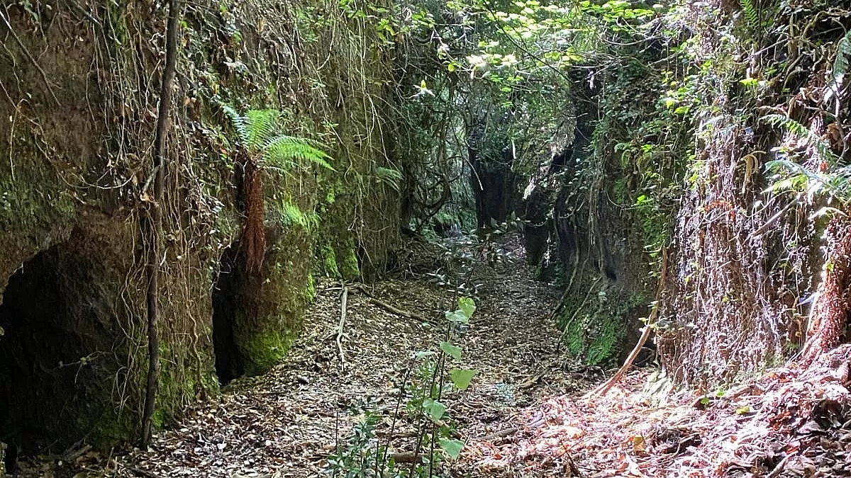 Tagliata delle Grotte Cave di Rocca di Papa