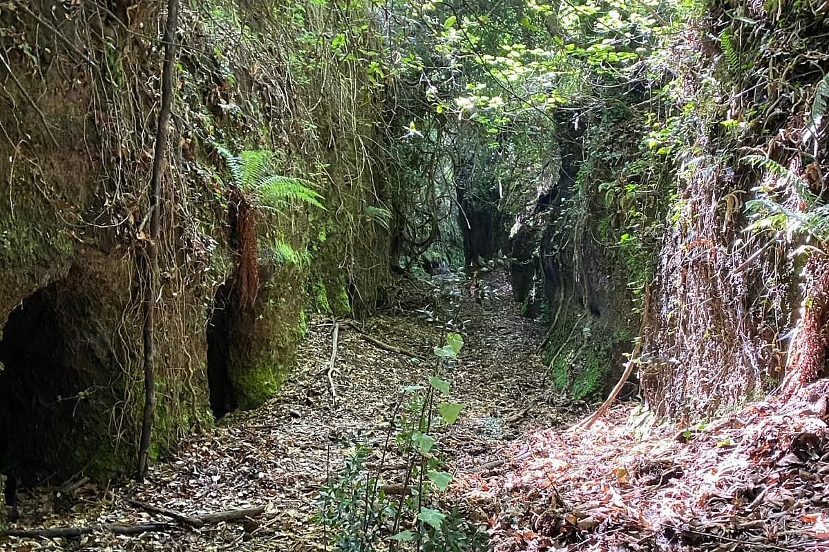 Tagliata delle Grotte Cave di Rocca di Papa