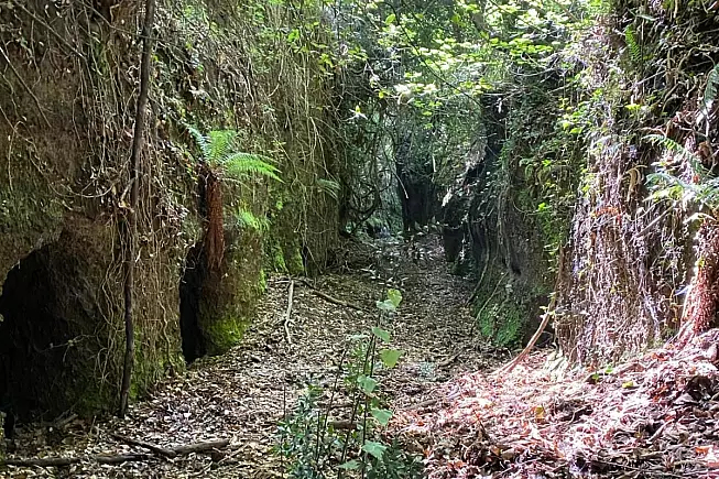 Tagliata delle Grotte Cave di Rocca di Papa