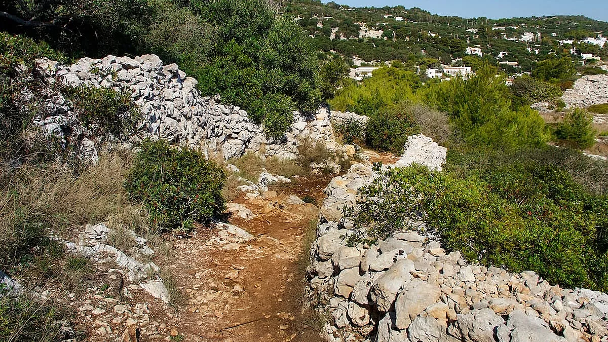 Sentiero delle Cipolliane e Grotte Cipolliane. IS: 1185679991