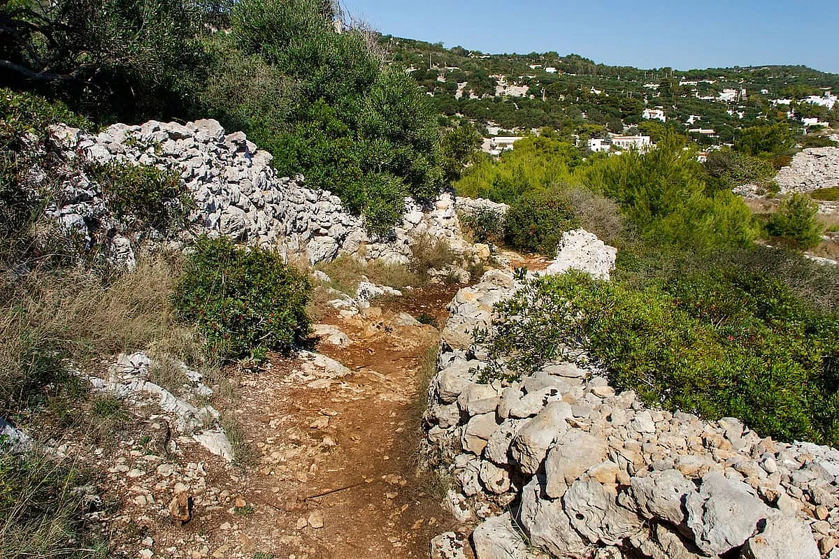 Sentiero delle Cipolliane e Grotte Cipolliane. IS: 1185679991