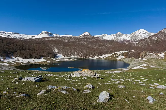 SH_2396643067