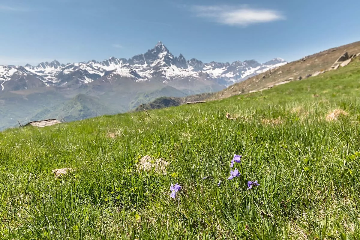 Vista imponente della Punta Selassa da un prato rigoglioso