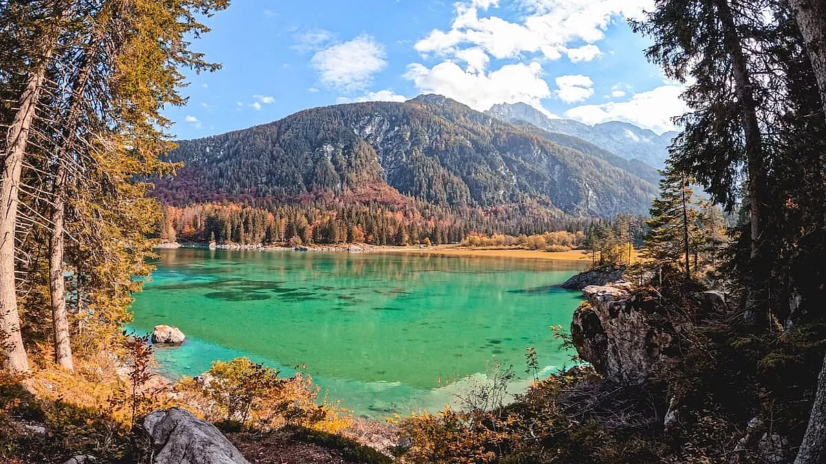 Vista tra gli alberi durante l'escursione ai Laghi di Fusine - IS: 1440023171