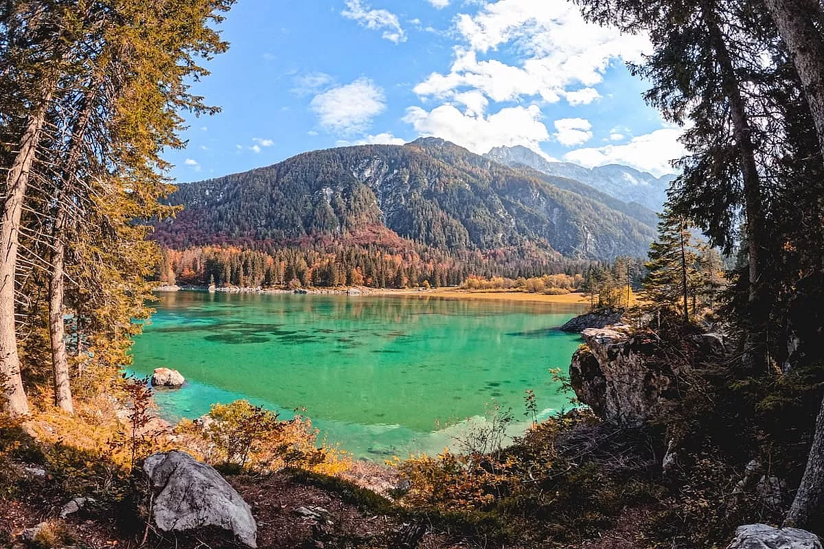 Vista tra gli alberi durante l'escursione ai Laghi di Fusine - IS: 1440023171