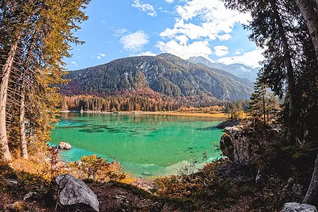 Vista tra gli alberi durante l'escursione ai Laghi di Fusine - IS: 1440023171