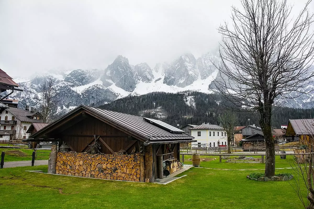 Cima Sappada con il misterioso sfondo delle vette innevate - IS: 1621022231