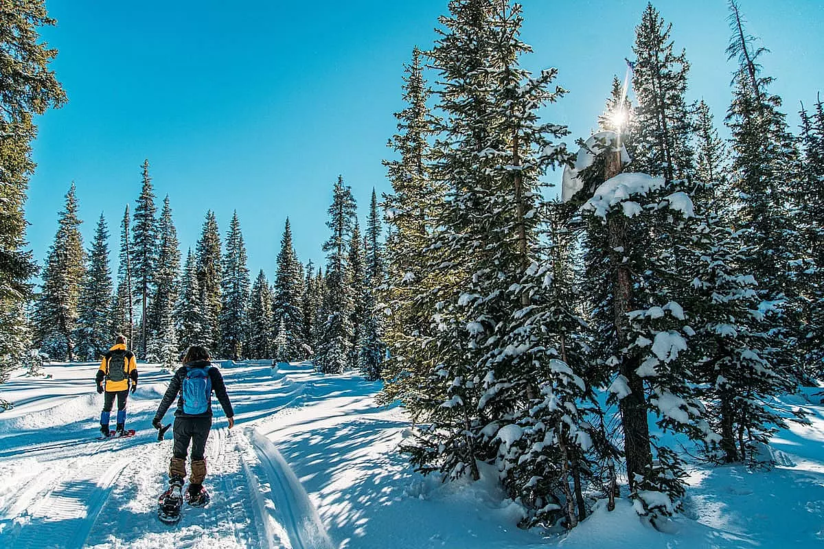 Trekking con le ciaspole in una limpida giornata invernale - IS: 1203883718