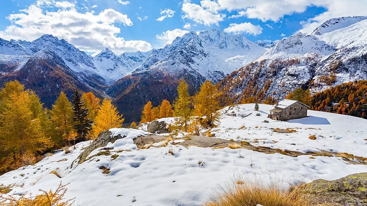 Vista panoramica della Val Malenco innevata -SH: 1281743026