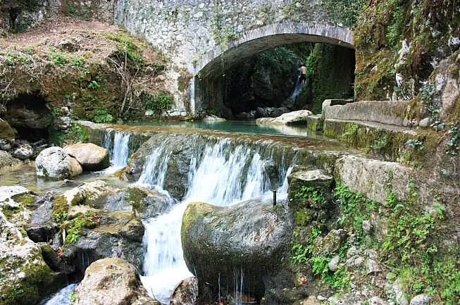 SH: 1843642201