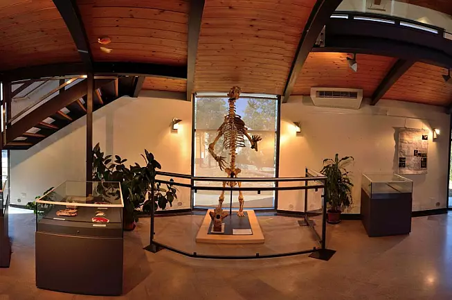 L'interno del Museo Scientifico Speleologico della Grotta Gigante