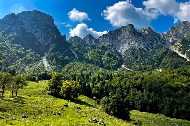Recoaro Terme - Sentiero dei Grandi Alberi - Wikimedia Michela183