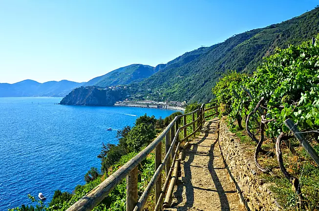 Cinque Terre, Liguria