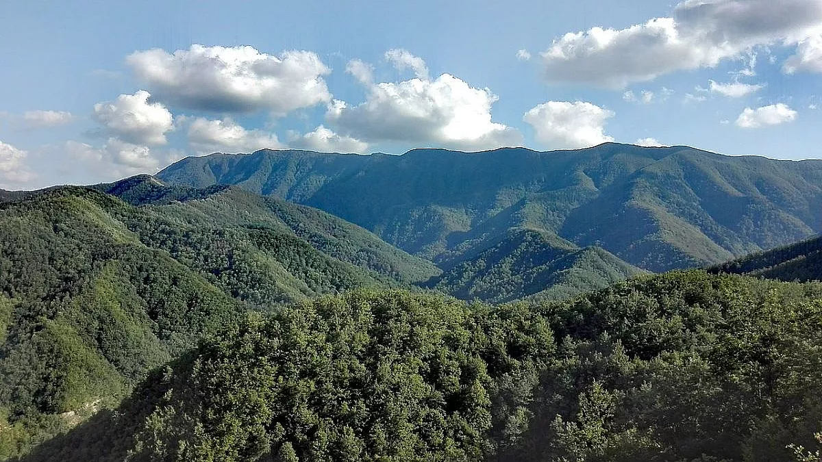 Foreste Casentinesi - Sassofratino - Nicola Andrucci, Wikimedia