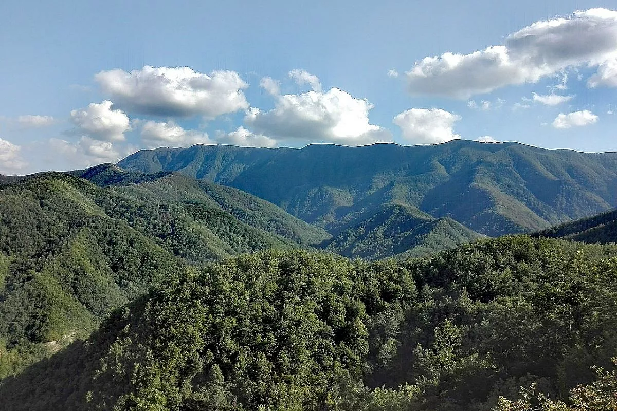 Foreste Casentinesi - Sassofratino - Nicola Andrucci, Wikimedia