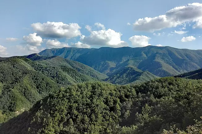 Foreste Casentinesi - Sassofratino - Nicola Andrucci, Wikimedia