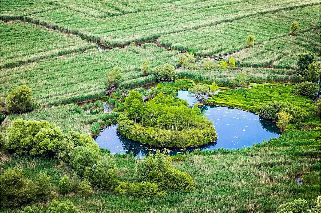 Isola Galleggiante del lago di Posta Fibreno