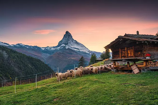 Vista sul Monte Cervino