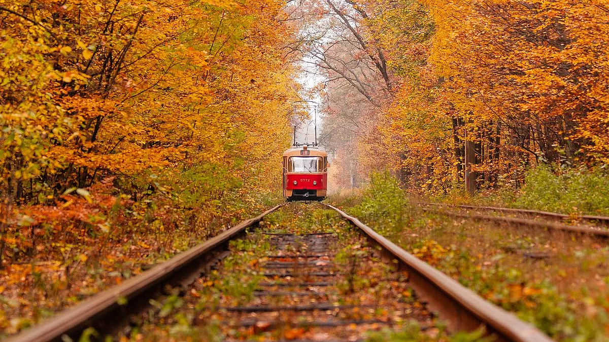 sh_1012629775