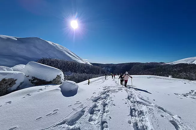 Foto di 42GRADINORD