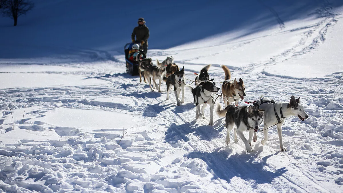 Pays Des Ecrins - Mushing_addict-©Marie LACHAUD ©Marie LACHAUD
