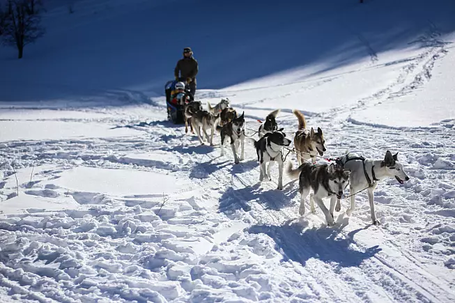 Pays Des Ecrins - Mushing_addict-©Marie LACHAUD ©Marie LACHAUD