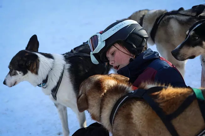 Pays des Écrins - Mushing addict-Foto ©Marie LACHAUD