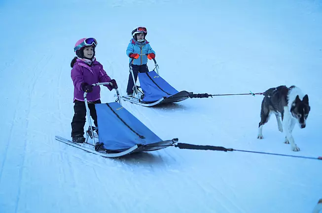Mushing addict-Foto ©Marie LACHAUD